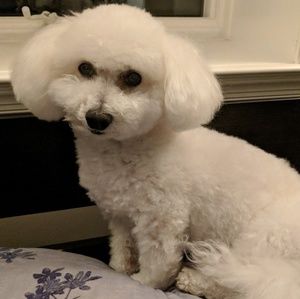 Meet your Posher, Stacy